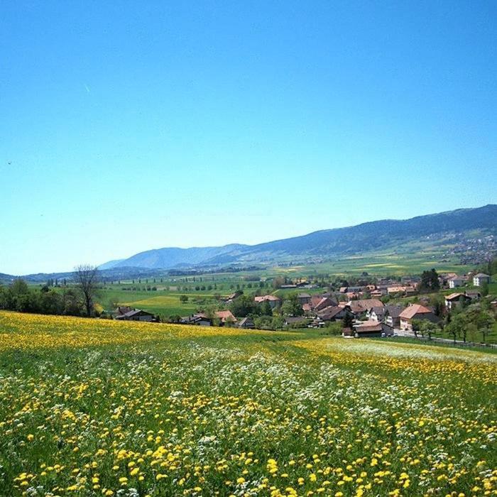 Hotel Du Val Cernier ภายนอก รูปภาพ